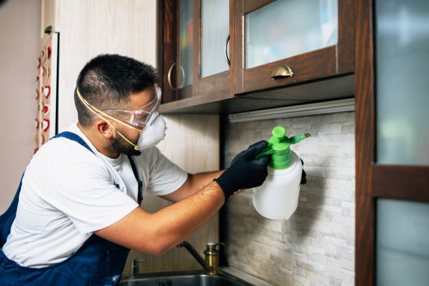 Best Local Pest Control Services  in Warsaw, KY