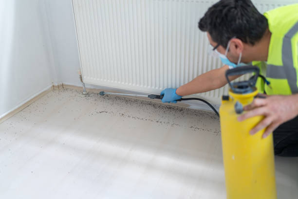 Best Mosquito Control Services  in Warsaw, KY
