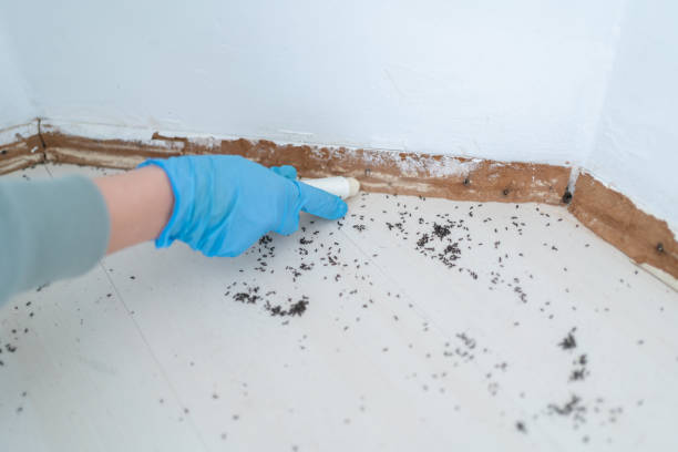 Best Pest Control Near Me in Warsaw, KY