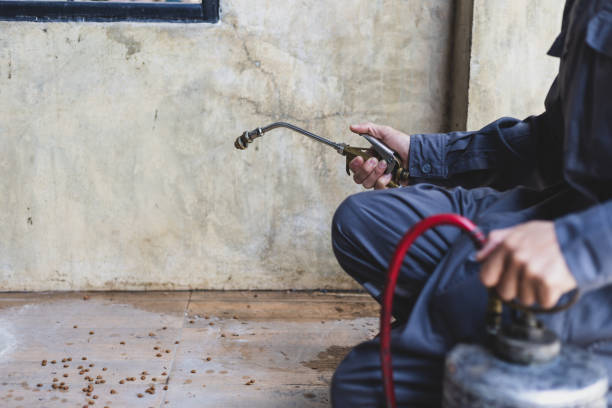 Best Termite Control Services  in Warsaw, KY